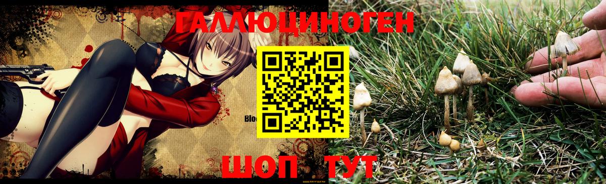 Псилоцибиновые грибы GOLDEN TEACHER Первоуральск